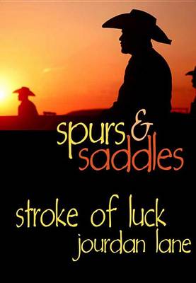 Book cover for Stroke of Luck