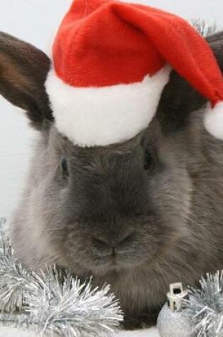 Cover of It's a Gray Bunny for Christmas