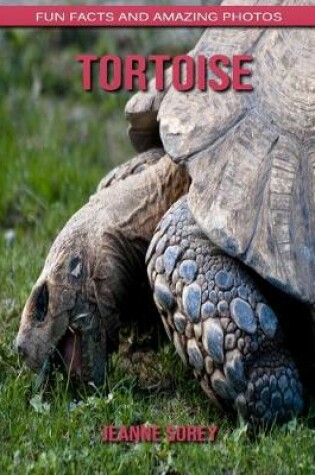 Cover of Tortoise