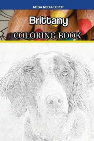 Cover of Brittany Coloring Book