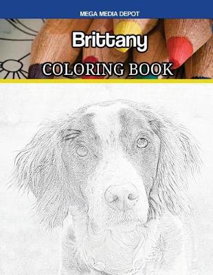 Book cover for Brittany Coloring Book