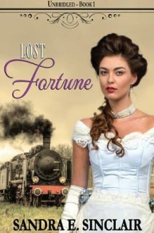 Cover of Lost Fortune