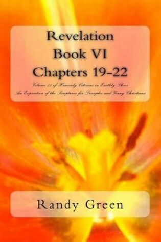 Cover of Revelation Book VI