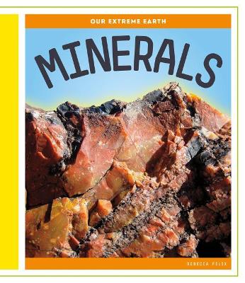 Book cover for Minerals