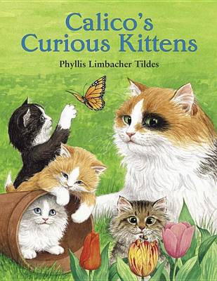 Book cover for Calico's Curious Kittens