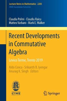 Book cover for Recent Developments in Commutative Algebra