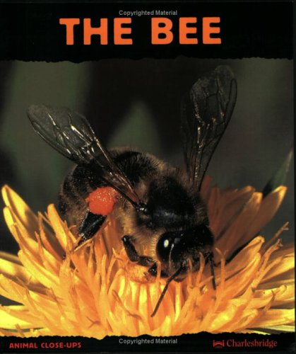 Book cover for The Bee