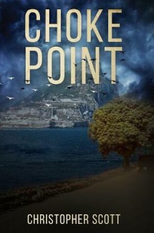 Cover of Choke Point