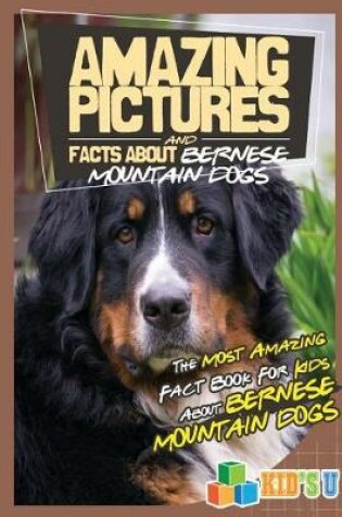 Cover of Amazing Pictures and Facts about Bernese Mountain Dogs