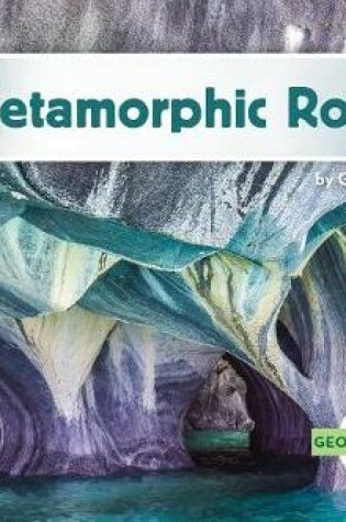 Cover of Metamorphic Rocks