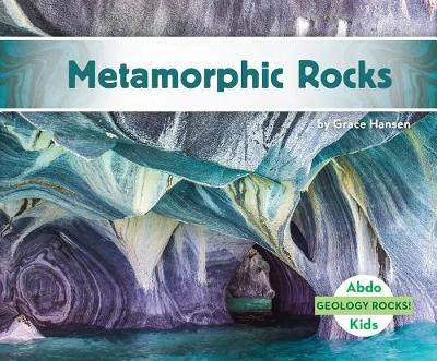 Book cover for Metamorphic Rocks