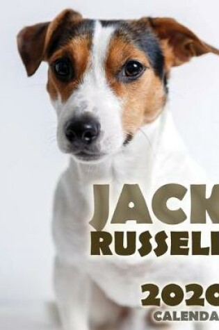 Cover of Jack Russell 2020 Calendar