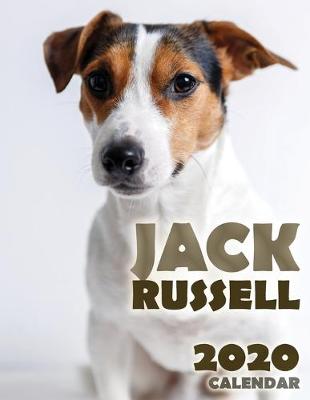 Book cover for Jack Russell 2020 Calendar