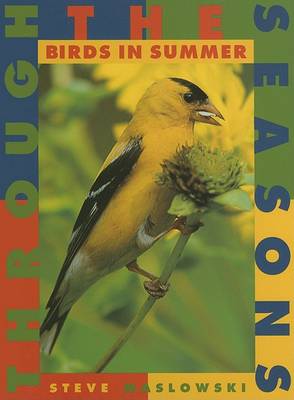 Book cover for Birds in Summer