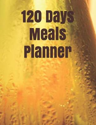 Book cover for 120 Days Meals Planner