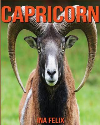 Book cover for Capricorn