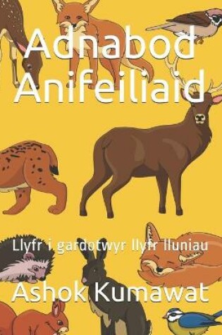 Cover of Adnabod Anifeiliaid