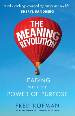 Book cover for The Meaning Revolution