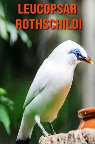 Cover of Leucopsar rothschildi