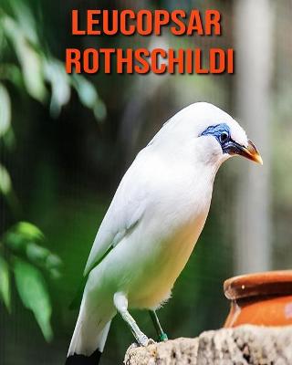 Book cover for Leucopsar rothschildi