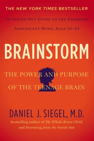 Book cover for Brainstorm