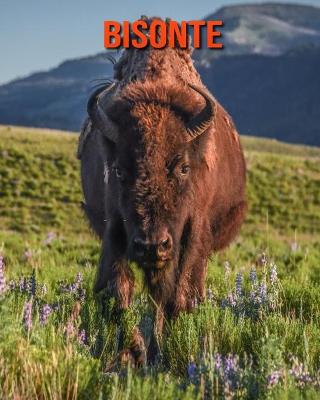 Book cover for Bisonte