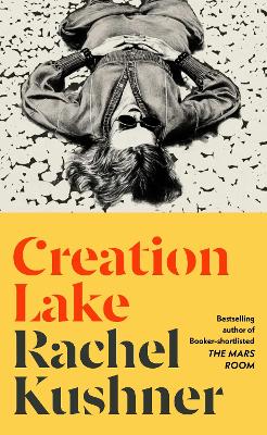 Book cover for Creation Lake