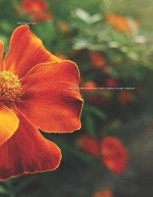 Book cover for Marigold Calendula Flower Plant Tagetes Orange Notebook