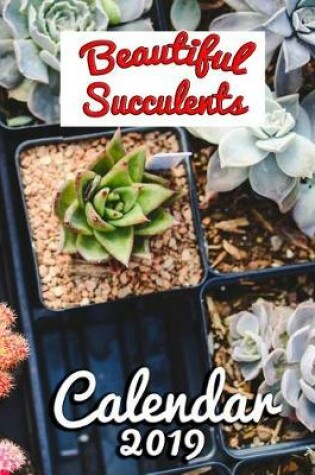 Cover of Beautiful Succulents Calendar 2019