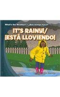 Book cover for What's the Weather? / ¿Qué Tiempo Hace?