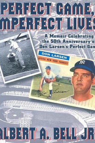 Cover of Perfect Game, Imperfect Lives