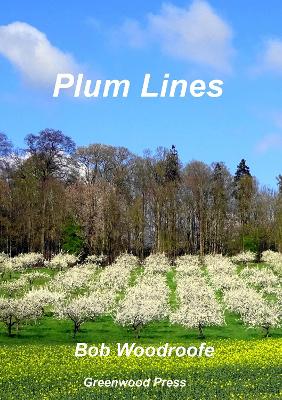 Book cover for Plum Lines