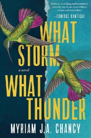 Cover of What Storm, What Thunder