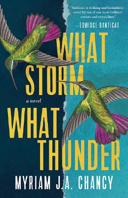 Cover of What Storm, What Thunder