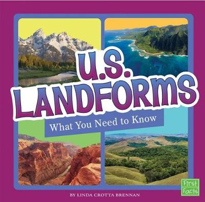 Book cover for U.S. Landforms: What You Need to Know (Fact Files)