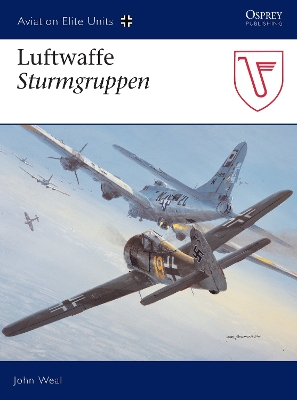 Book cover for Luftwaffe Sturmgruppen