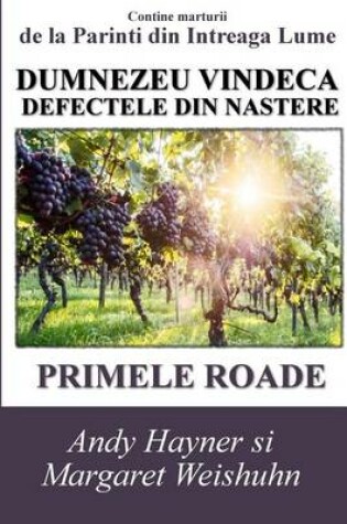 Cover of Dumnezeu Vindeca Defectele Din Nastere