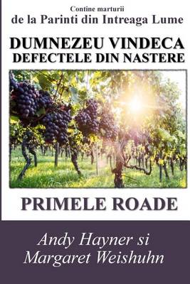 Cover of Dumnezeu Vindeca Defectele Din Nastere