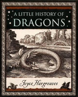 Book cover for A Little History of Dragons