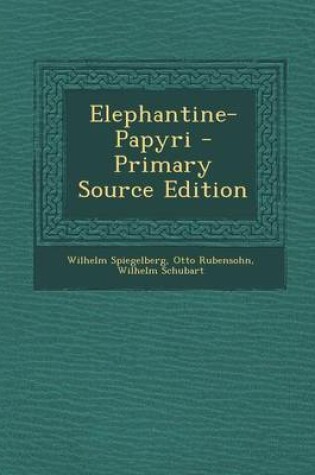 Cover of Elephantine-Papyri