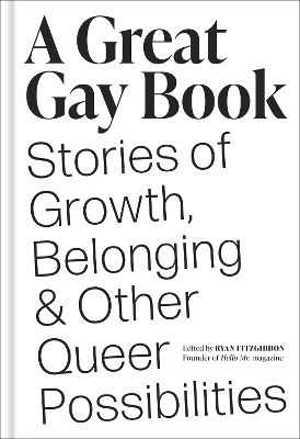 Book cover for A Great Gay Book