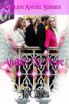 Book cover for Angels No More