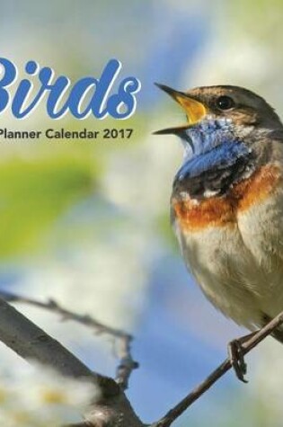 Cover of Birds Daily Planner Calendar 2017