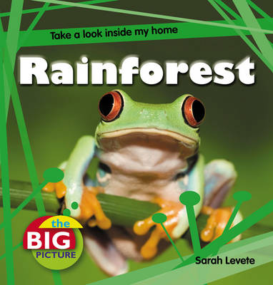 Book cover for Rainforest