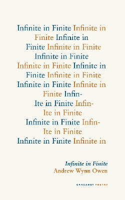 Book cover for Infinite in Finite