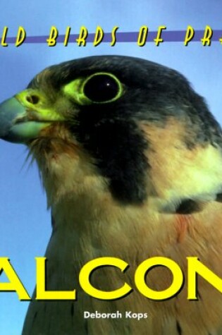 Cover of Falcons