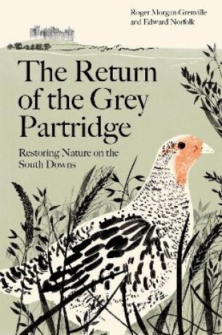 Cover of The Return of the Grey Partridge