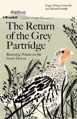 Book cover for The Return of the Grey Partridge