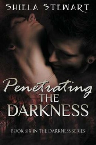 Cover of Penetrating the Darkness