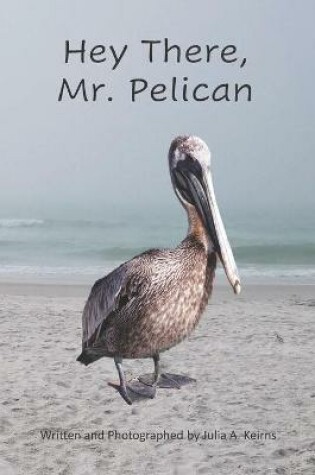 Cover of Hey There, Mr. Pelican